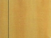 z60-124x300